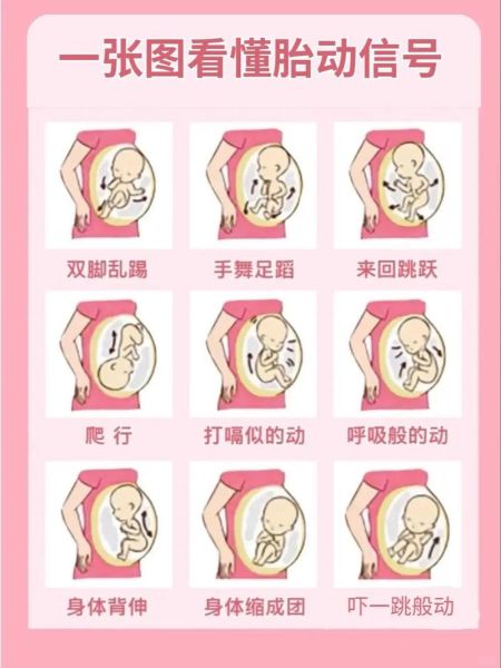 宝宝胎动多正常吗_胎动频繁的原因