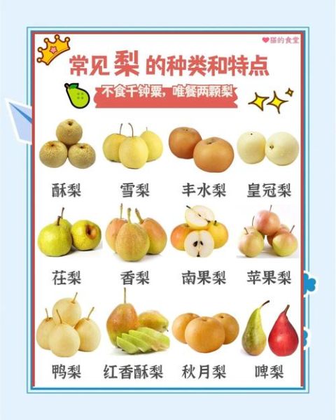 宝宝可以吃梨吗_几个月开始吃梨