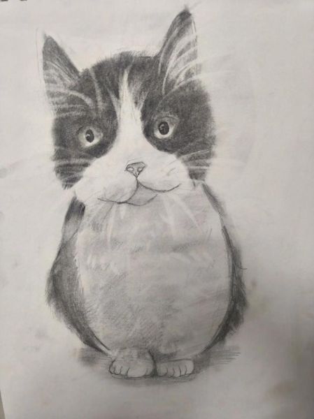 铅笔画图片大全_如何画铅笔画