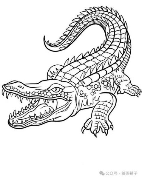 鳄鱼简笔画怎么画_鳄鱼简笔画图片大全