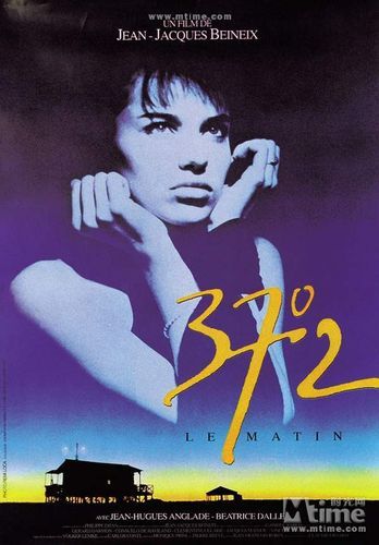 巴黎野玫瑰迅雷下载_哪里找高清资源