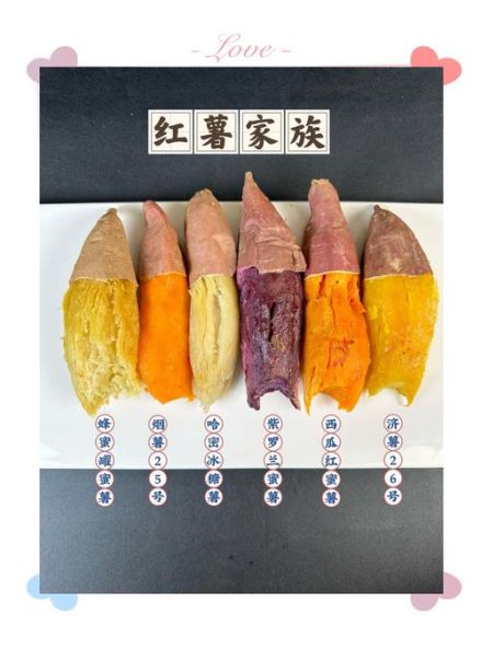 地瓜图片大全_地瓜品种怎么区分