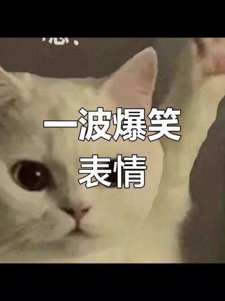 搞笑表情图片大全_哪里找最火表情包