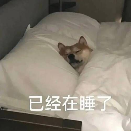 搞笑表情图片大全_哪里找最火表情包