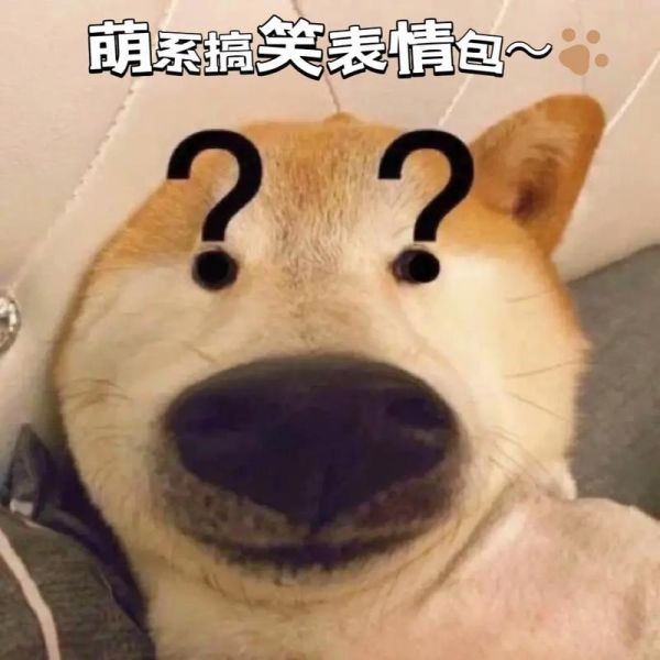 搞笑表情图片大全_哪里找最火表情包