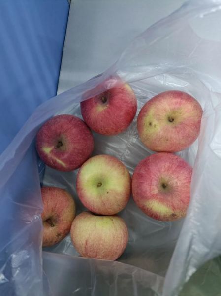 梦到买苹果是什么意思_梦见买苹果好不好