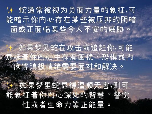 梦到路上好多蛇_周公解梦准吗