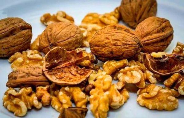 梦到核桃是什么意思_梦到核桃是吉兆吗