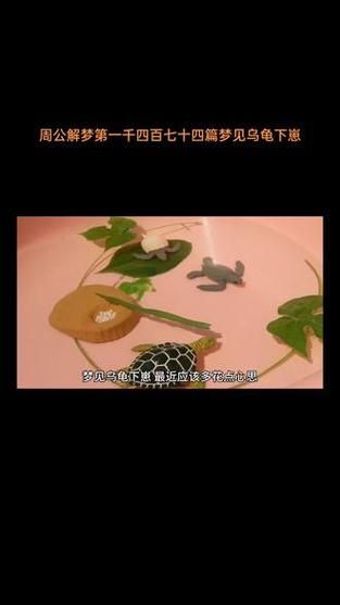 梦到龟是什么意思_梦见乌龟吉凶解析