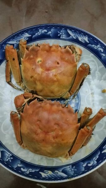 一岁宝宝可以吃螃蟹吗_螃蟹过敏症状