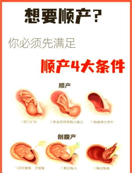 七斤多的宝宝能顺产吗_顺产条件与风险解析