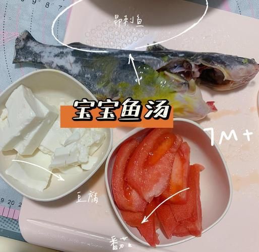 几个月宝宝可以喝鱼汤_宝宝喝鱼汤注意事项