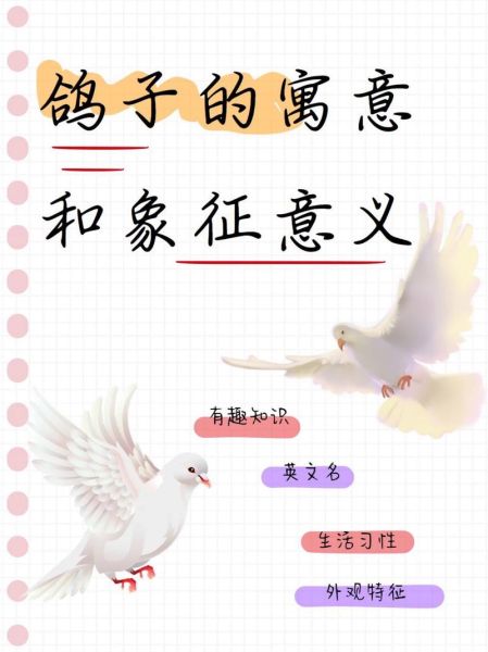 孕妇梦到鸽子是什么意思_孕妇梦见白鸽生男生女