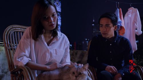 鸟人迅雷下载_高清资源在哪找