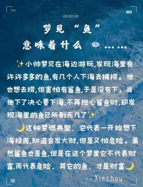 梦到鱼是什么意思_梦见鱼代表什么