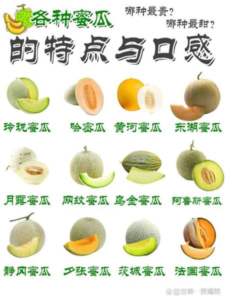 瓜果图片大全有哪些_瓜果种类名称大全