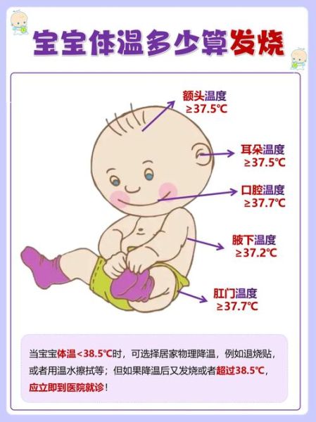 小宝宝多少度算发烧_婴儿体温多少度需要就医