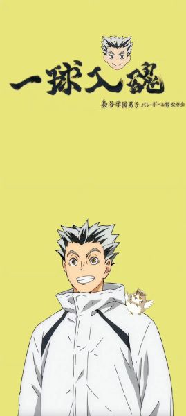 排球少年迅雷下载_哪里能安全观看全集