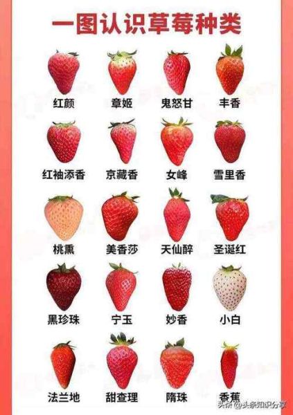 常见水果图片大全_如何快速识别水果种类