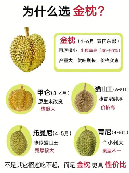 大榴莲图片大全_如何挑选成熟榴莲