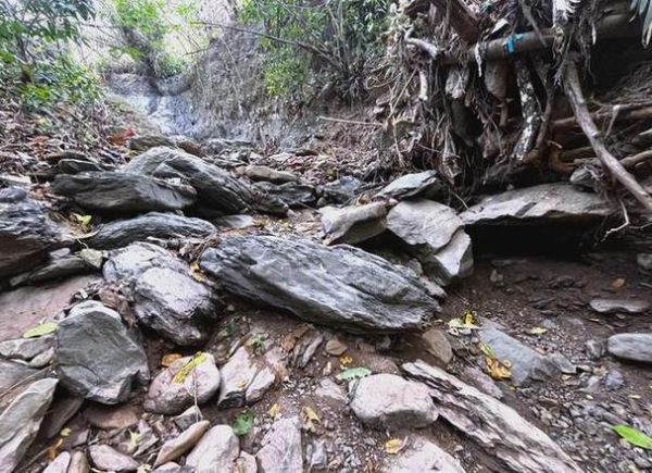 梦到溪水是什么意思_梦到溪水有什么预兆