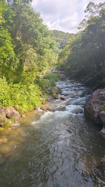 梦到溪水是什么意思_梦到溪水有什么预兆