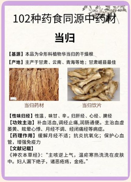 当归身图片大全_如何辨别真假当归身