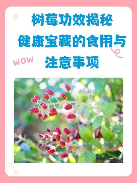 树莓宝宝能吃吗_婴儿多大可以吃树莓