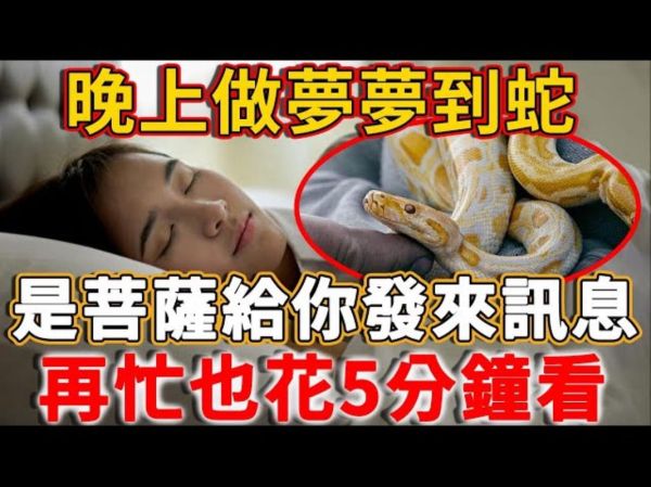 男人梦见蛇是什么预兆_男人梦到蛇好不好