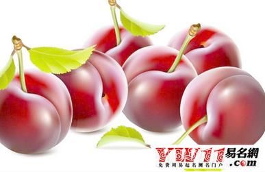 孕妇梦到李子是什么意思_孕妇梦见李子生男生女