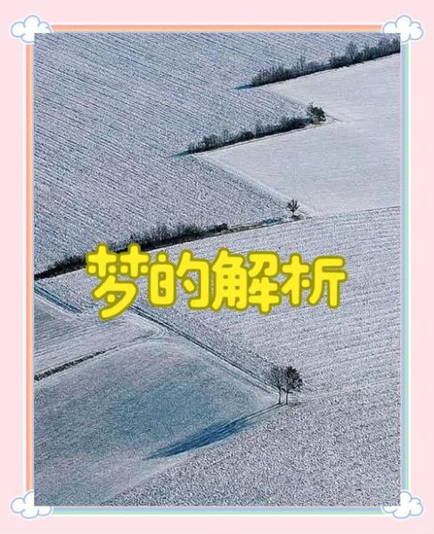 梦到下雪是什么意思_梦见大雪有什么预兆
