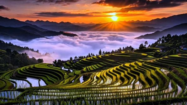 精美图片大全_如何快速找到高清无水印素材