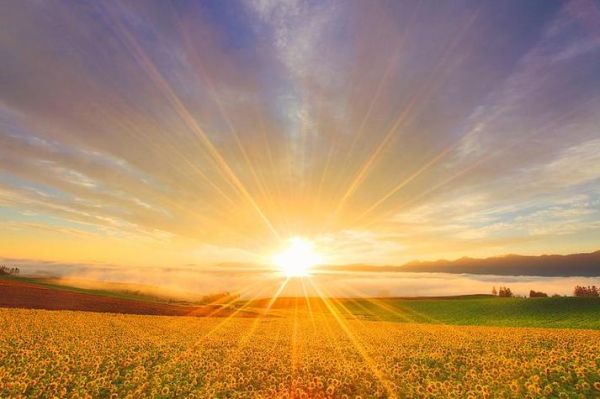 梦到太阳是什么意思_梦见太阳预示什么