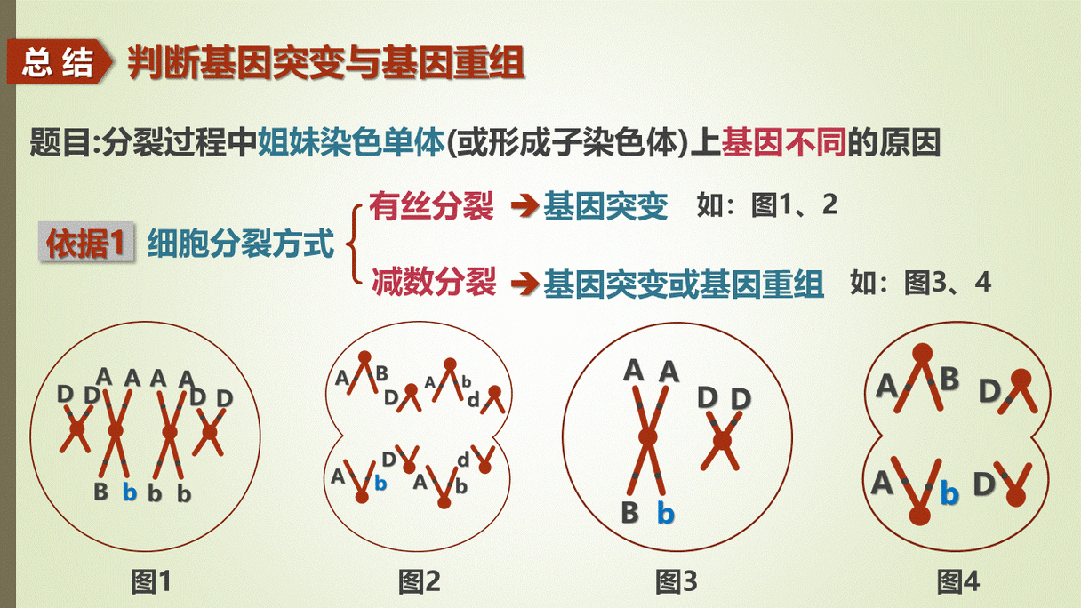 基因图片大全_基因突变图片怎么看