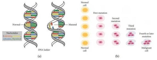 基因图片大全_基因突变图片怎么看