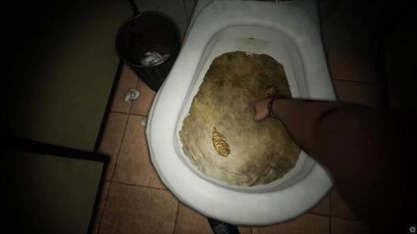 梦到粪便是什么意思_梦见大便代表什么