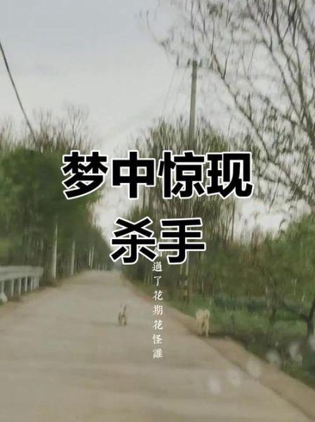 梦到开枪是什么意思_梦到开枪预示什么