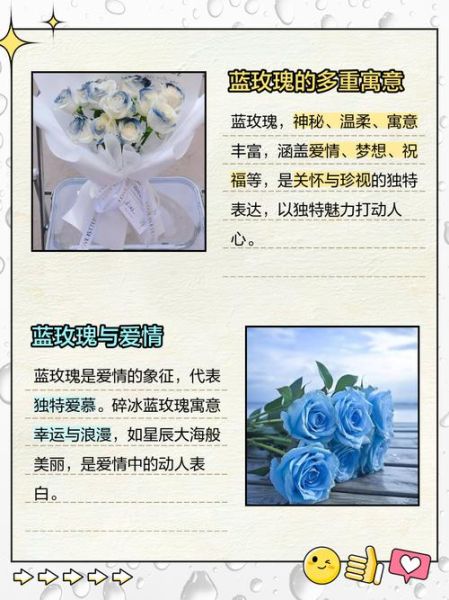 蓝玫瑰图片大全_蓝玫瑰代表什么含义