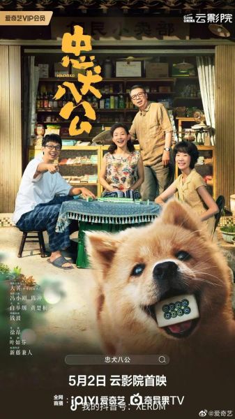 忠犬八公迅雷下载_忠犬八公高清资源哪里找