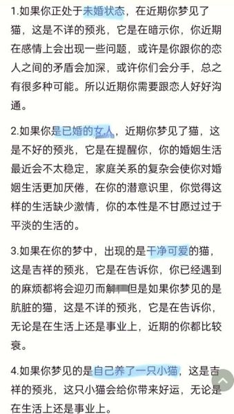 梦到小黑猫是什么意思_黑猫入梦预示什么
