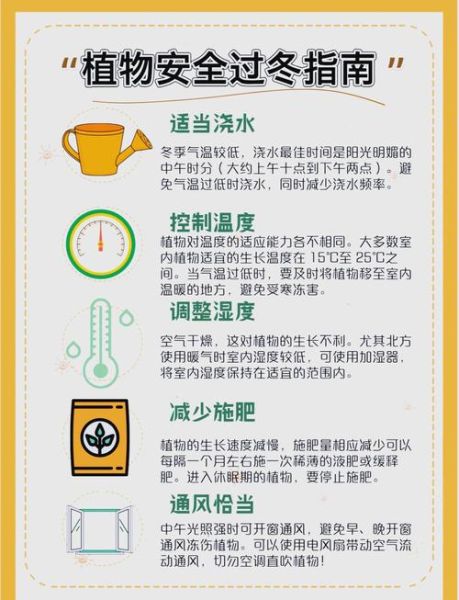 植物浇水频率怎么掌握_浇水图片大全哪里找