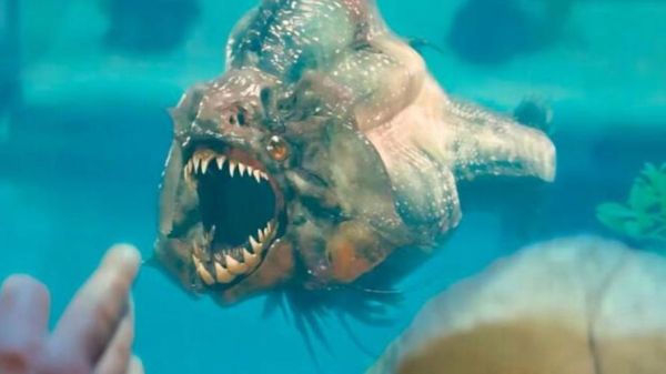 食人鱼2迅雷下载_食人鱼2高清资源在哪找