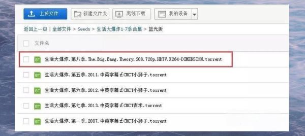 迅雷种子下载神器怎么用_迅雷种子下载神器安全吗