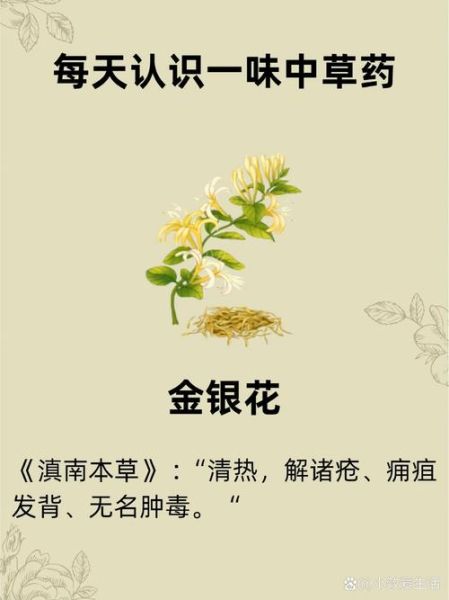 药材花卉图片大全_哪些花可入药