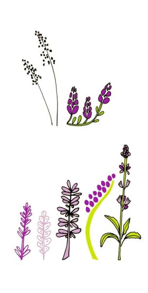 薰衣草简笔画怎么画_薰衣草简笔画图片大全