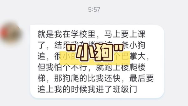 梦到学校是什么意思_梦见回到学校上课解析