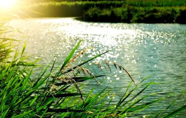 梦到自己在水中走_吉凶预兆