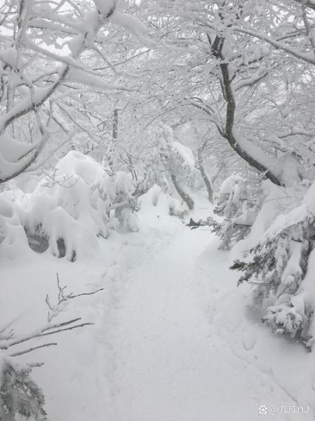 梦见下大雪是什么意思_梦见大雪纷飞代表什么