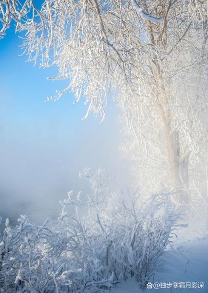 初雪迅雷下载_初雪迅雷资源怎么找