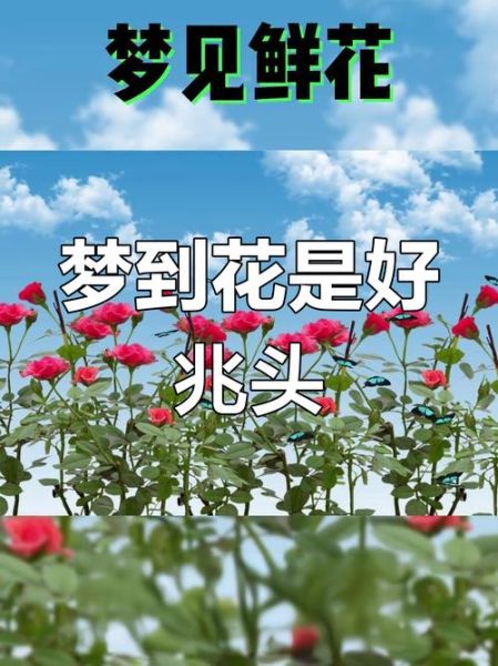 梦到花开是什么意思_梦见花开预示着什么